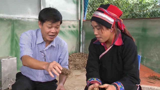 VTV vinh danh PGS.TS Trần Văn Ơn: Ngọn lửa đam mê với cây thuốc Việt Nam