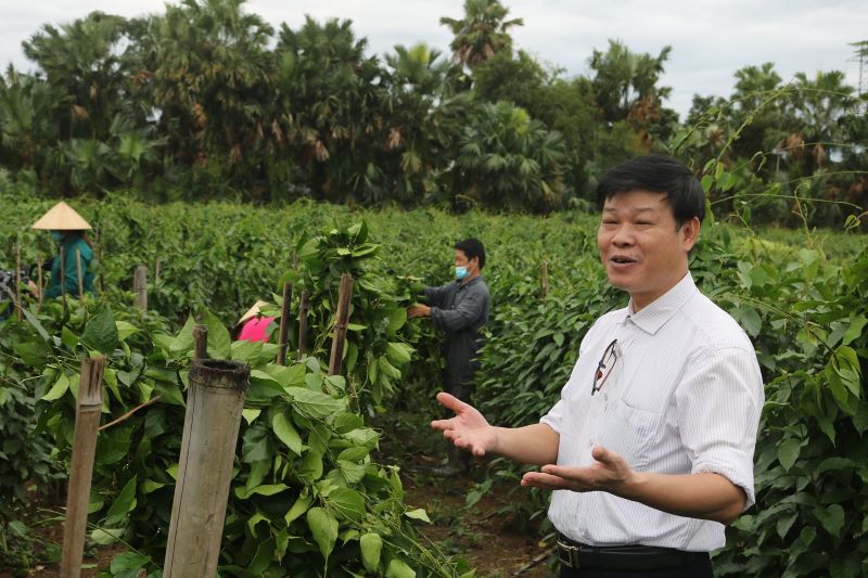 PGS.TS Trần Văn Ơn: Người gieo mầm cho vườn thuốc Việt Nam